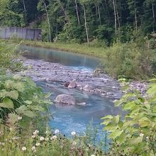 川の水も青かった