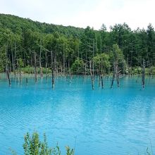 11時頃。この時間の方が青かった。