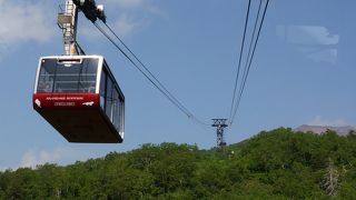 御田の原の新緑