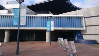 オオサンショウウオならここ