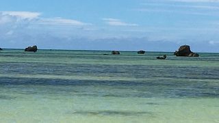 サンセットが良いそうです