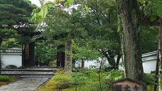 美しい緑のお庭