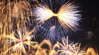 今年も行ってきました