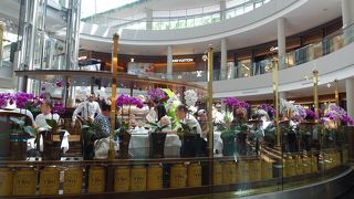 セレブ気分で紅茶を楽しめる