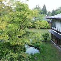 心を落ち着かせてくれるお庭です、五月雨に濡れて緑が映えます。