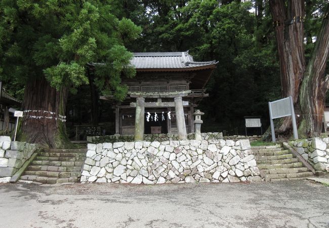 石鳥居など見どころがあります