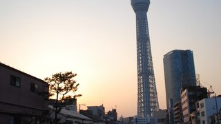 逆さスカイツリー