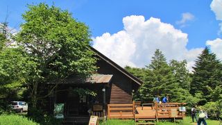 ヤマネの博物館