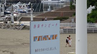 サンビーチの近くで、ジャカランダフェスティバルを開催中だったので行ってみました。