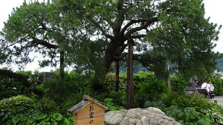 熱海の観光スポットですが、六月下旬は暑かった！