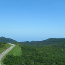 車窓の景色が美しい。