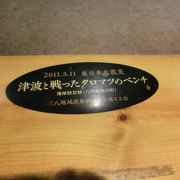 東北新幹線「八戸駅」には、「津波と戦ったクロマツのベンチ」があります。