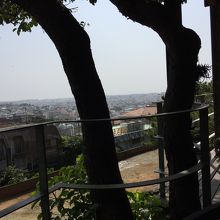 茶店からの風景