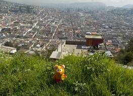 Mercure Alameda Quito 写真