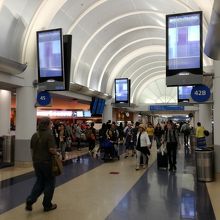 少しずつお手入れしているが狭い。