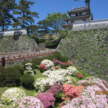 大手門の美しい花々