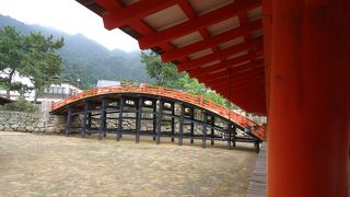 かなり反っている