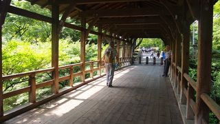 夏はおじいちゃんの散歩道