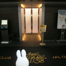 専用の保安検査もあります。