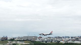 飛行機が楽しめる