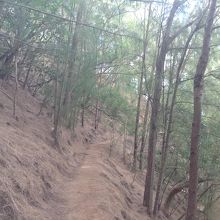 ハワイって感じがしません