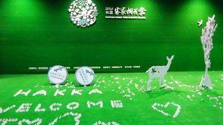 成田からの到着便で利用