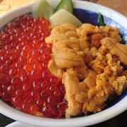 新鮮で濃厚な海鮮丼！座敷席からの景色も良い！