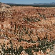 豪快なグランド・キャニオンとは対照的に繊細な岩の柱が多い渓谷