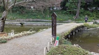 嵐山の渡月橋とはずいぶん違うかなあ。