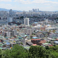 園内の高台からの眺め