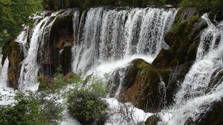 九寨溝 樹生瀑布