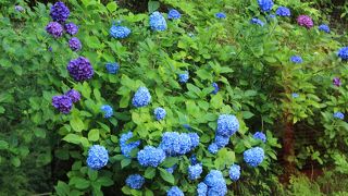 スイッチバックあり