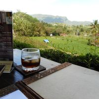 レストランからの眺め