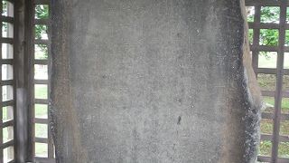 松尾芭蕉も見ました