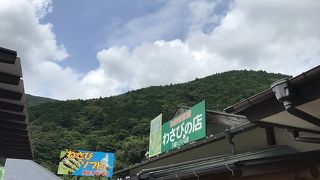 わさびがたくさん