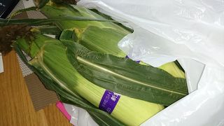 美味しい夏野菜、美味しい味噌、美味しいずんだおはぎ