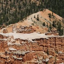 ワニと呼ばれる部分。白いワニが横たわっているように見えます。