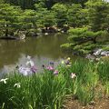 こんなところに日本庭園？！