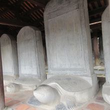 亀の頭の角度が・・・