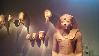 実は１ドルではいれるけど