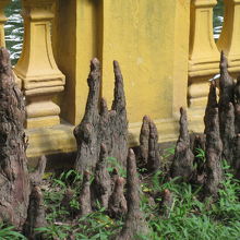 これはなんだぁ、と思ったら