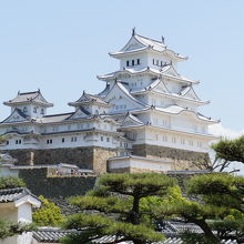 西の丸から観た天守閣