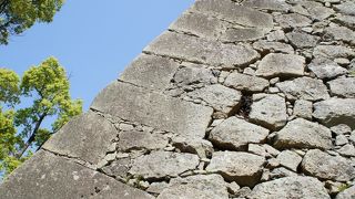 曲線が美しい石垣