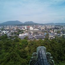 最上階から街を臨む