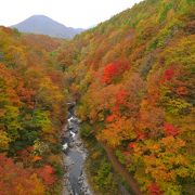 渓谷の紅葉