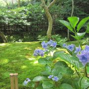 嵐山を訪れた際は是非足を延ばしてほしいお寺