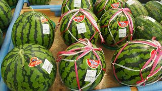 横須賀の大規模産直販売所