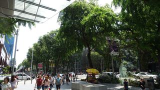 是非ふらっと歩きたいショッピング通り