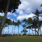 緑と海とどっちもあり！