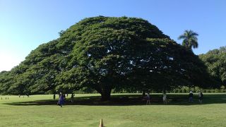 日本人にはＣＭでおなじみの場所